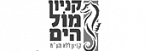 logo_7.png
